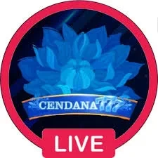 cendana777 APK Versi Terbaru untuk Android 2026 dan rpvip1: Rangkuman Brand yang Banyak Dicari